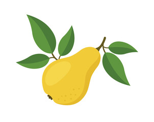 Yellow pear on a branch with leaves, eps 10 format