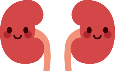 かわいい腎臓のキャラクターのイラスト(cute cartoon kidney)