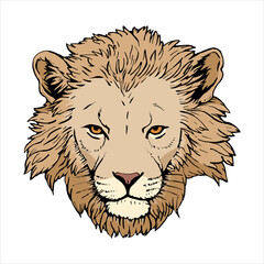 Portrait of Lion. Hand-drawn illustration. Vector