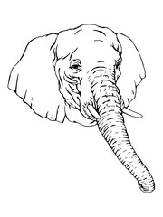 Portrait of Elephant. Hand-drawn illustration. Vector