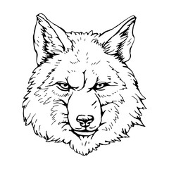 Portrait of Wolf. Hand-drawn illustration. Vector