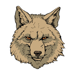 Portrait of Wolf. Hand-drawn illustration. Vector