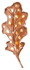Hand-painted   beautiful Orange  Brown and yellow autumn leaves  illustration
