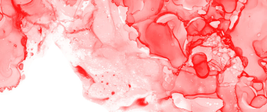 Red grunge watercolor texture art vector background for cover design, poster, cover, banner, flyer, cards. Abstract illustration for background. Red and black ink.