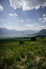 Beautiful view of Crested Butte meadows and forest and mountains in summer in Colorado