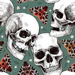 Seamless pattern of hand-drawn human skulls, flowers, and the garden tiger moth or Arctia caja. Beautiful colorful illustration.