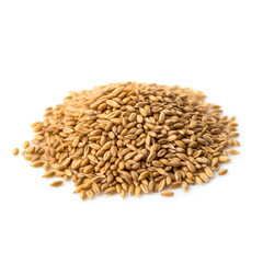Obraz premium Einkorn Groats isolated on white background side view 