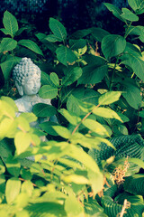 Buddha statue in garden with green leaves