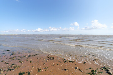 Point of the Aiguillon bay. L'Aiguillon-la-Presqu'île village