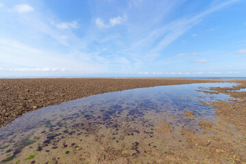 Low tide in La Salée beach. Ré island	