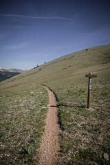 Fototapeta na wymiar Trail sign in grassy tundra in Rocky Mountains of Colorado in summer with blue skies