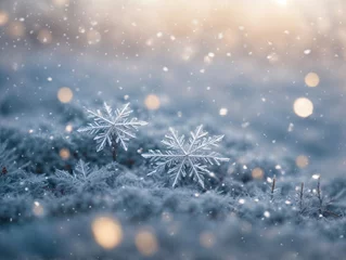 Fotobehang Macrofotografie snowflake ice crystals snow falling on frozen ground and plants on a cold winter night