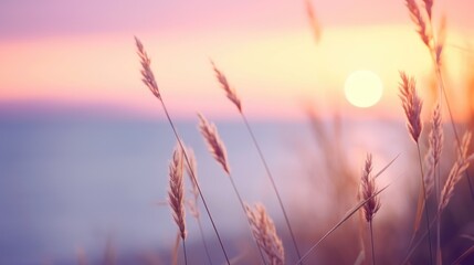 Little grass stem close-up with sunset over calm sea, sun going down over horizon. Pink & purple pastel watercolor soft tones. Beautiful nature background. Generative AI
