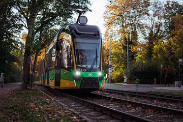 zielony tramwaj MPK w jesiennym Poznaniu, Polska - obrazy, fototapety, plakaty