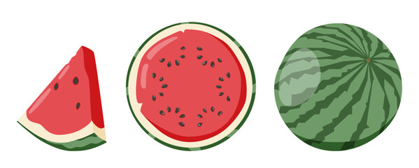 Cartoon fresh green open watermelon half, slices and triangles. Red watermelon piece with bite.