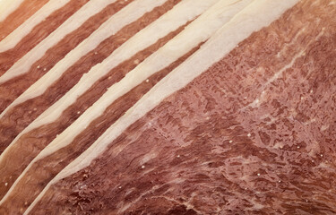 Thin slices of prosciutto crudo, uncooked dry cured ham, italian speciality