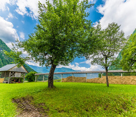 Obraz premium A view of hay drying frame in an alpine village near to lake Bohinj in Slovenia in summertime