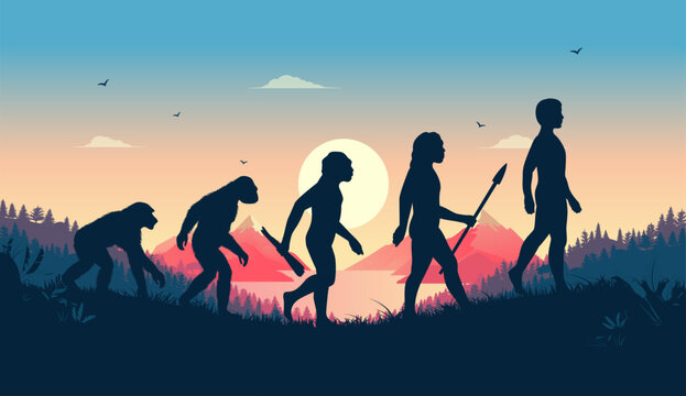 Human evolution illustration - Ancestors evolving from primate to modern human in beautiful landscape scene with morning sunrise in background. Flat design vector