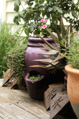 garden containers on a patio