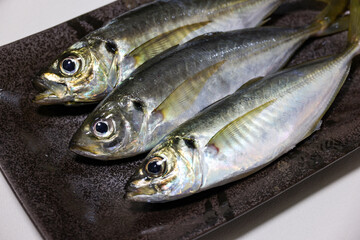 黒皿に盛られた獲れたての鯵３尾