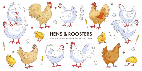Set of hand drawn cute cartoon hens and roosters isolated on white background. Sketch doodle chicken collection. Farm bird. Poultry. Vector illustration © AM_art