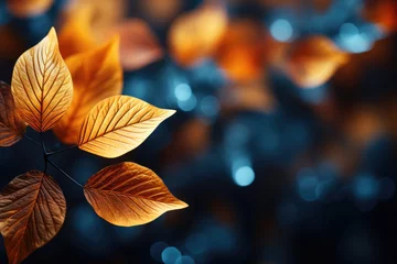 Fotobehang Bright autumn leaves abstract background © Veniamin Kraskov