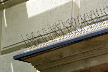 metal spike anti-roosting or bird prevention and repellent strip. bird control. old exterior stucco...