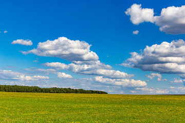 Summer landscape in central Europe