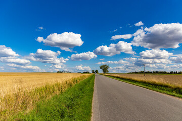 Road through a fields. Clouds on a blue sky.