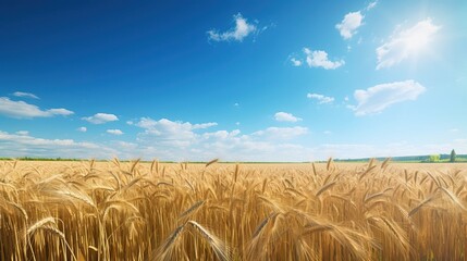 A field with golden ears of wheat on a hot summer day. Created using Generative AI technology.