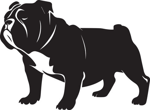 Bull dog vector silhouette illustration black color