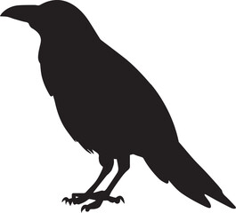 Crow vector silhouette illustration black color, crow bird vector