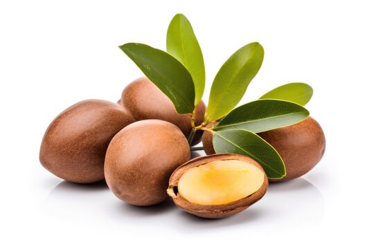 Close-up of natural argan nuts on a white background.