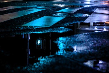 雨上がりの夜、水溜まりに映る青信号のマーク