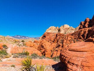 The Aztec Sandstone Formations at the Calico Hills, Red Rock Canyon National Conservation Area, Las Vegas, Nevada, USA
