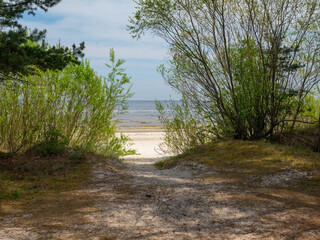 Beautiful nature in Jurmala, Latvia. Path through trees and bushes to sand beach of Baltic sea. Hot sunny summer day.