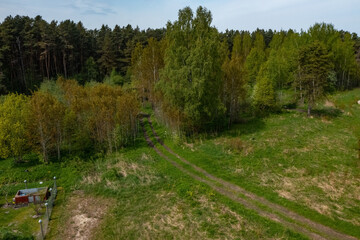 Top drone view of green summer forest and dirt road. Beautiful nature.