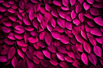 Viva magenta color leaf texture, nature monochrom background. Color of the year 2023