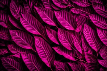 Viva magenta color leaf texture, nature monochrom background. Color of the year 2023