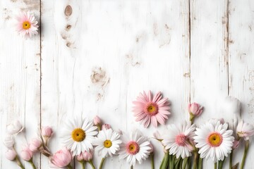 Obraz premium White wooden shabby chic spring background with pink daisy flowers. 
