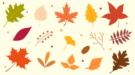 Autumn leaves collection. Hand-drawn fall elements. Warm and earthy trendy vector illustration. - obrazy, fototapety, plakaty