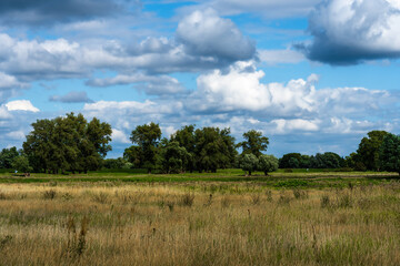 Fototapeta premium Idyllic landscape of the Elbe meadows near Wittenberge Germany