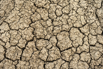 Parched earth textured background