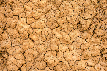 Parched earth textured background
