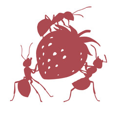 Illustration of worker ants liking strawberries. - 633848923