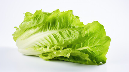 Lettuce isolated on a white background.