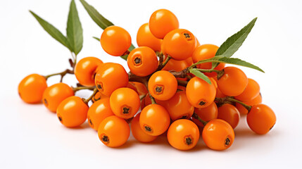 Sea buckthorn isolated on a white background.