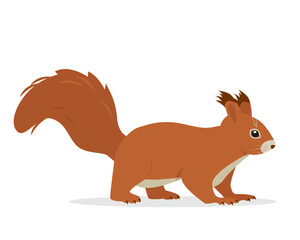 Squirrel animal icon. Red Squirrel with fluffy tail. Wild mammal forest animal character.Vector illustration isolated on white background.