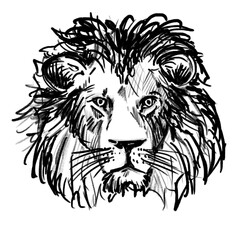 Hand drawn male lion (Illustration - black pencil, transparent PNG)