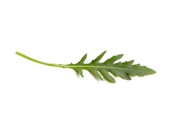 Fototapeta premium Fresh arugula or rucola leaf vegetable isolated on white background. Garden rocket salad greens. Arugula - a detoxifying food